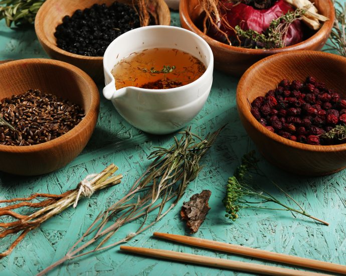 cordyceps
